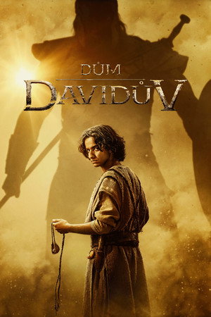 Dávid háza poszter