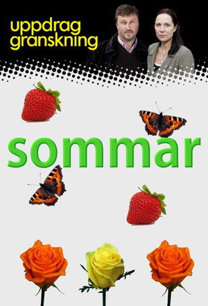 Uppdrag granskning sommar poszter