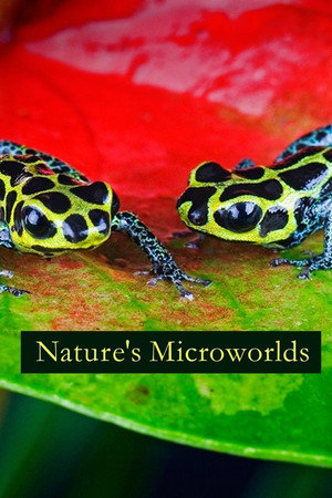 Nature's Microworlds poszter