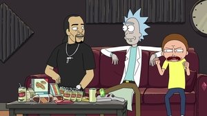 Rick és Morty 2. évad Ep.5 Gyere Svungizni