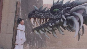 奔月 kép