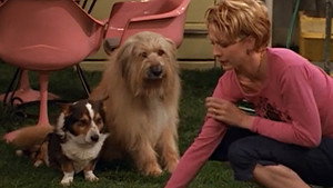 Dharma & Greg 1. évad Ep.21 21. epizód