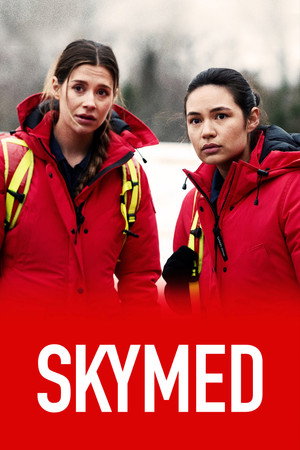 SkyMed poszter