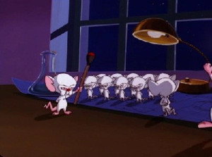 Pinky and the Brain 3. évad Ep.19 19. epizód