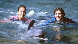 Flipper kép