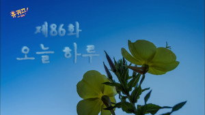 유 퀴즈 온 더 블럭 1. évad Ep.86 86. epizód