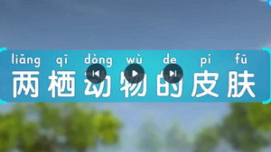 斑马百科 29. évad Ep.3 3. epizód