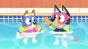 Bluey 1. évad Ep.22 Medence