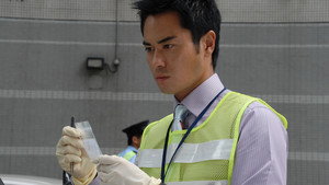 法證先鋒II kép