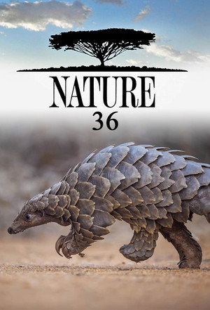 Nature 36. évad (2017-10-04) poszter