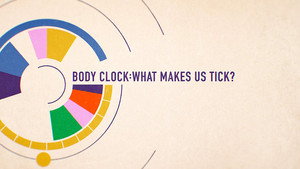 Horizon: Body Clock: What Makes Us Tick? kép
