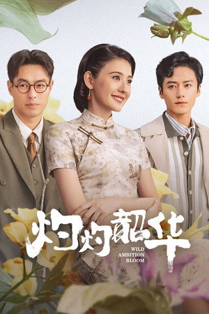 灼灼韶华 poszter