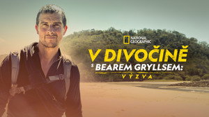 Bear Grylls - Sztárok a vadonban: A kihívás kép