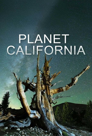 Planet California poszter