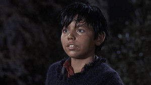 Bonanza 1. évad Ep.16 16. epizód