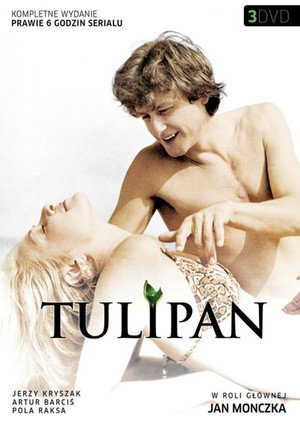 Tulipan poszter