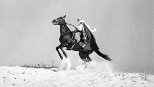 O Sheik de Agadir kép