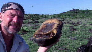Survivorman 5. évad Ep.2 2. epizód