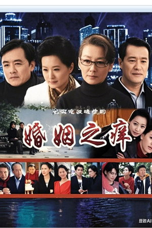 婚姻之痒 1. évad (2008-01-01) poszter
