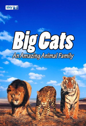 Big Cats: An Amazing Animal Family poszter