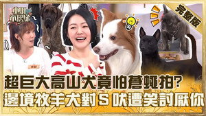 小姐不熙娣 1. évad Ep.749 749. epizód