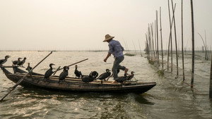 Langs de oevers van de Yangtze kép