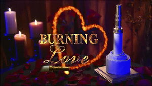 Burning Love kép