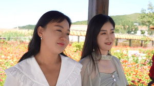 我和我的松树村 1. évad Ep.47 47. epizód