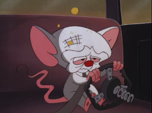 Pinky and the Brain 4. évad Ep.4 4. epizód