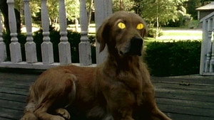 Goosebumps kép