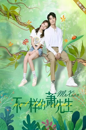 不一样的萧先生 poszter
