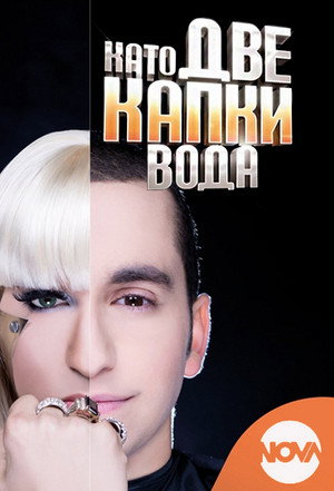 Като две капки вода poszter