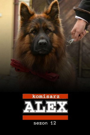 Alex felügyelő 12. évad (2019-01-05) poszter