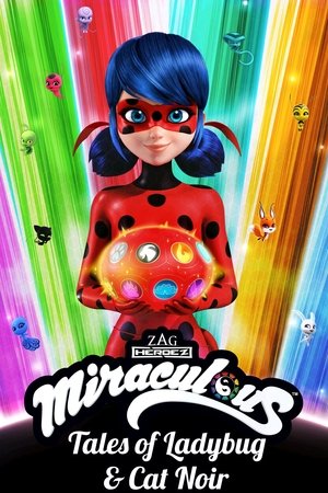 Miraculous Katicabogár és Fekete Macska kalandjai poszter