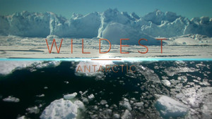 Wildest Places kép