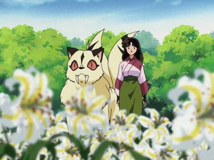 InuYasha 1. évad Ep.163 A titkos virágoskert