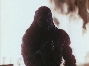 Swamp Thing 1. évad Ep.15 15. epizód