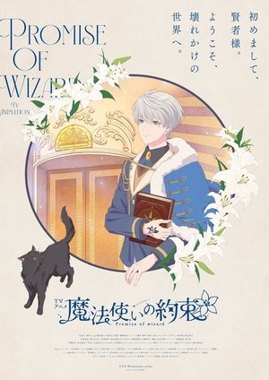 魔法使いの約束 poszter