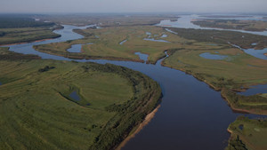 Amur: Asiens Amazonas 1. évad Ep.3 3. epizód