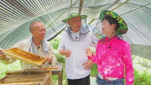 阿爺廚房 5. évad Ep.23 23. epizód