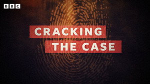 Cracking The Case kép