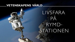 Vetenskapens värld 52. évad Ep.2 2. epizód