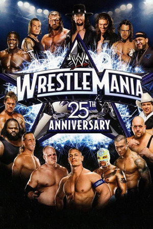 WWE Pay Per View 25. évad (2009-01-25) poszter