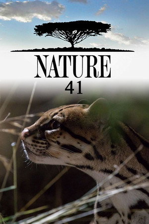 Nature 41. évad (2022-10-19) poszter