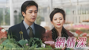 一網情深 kép
