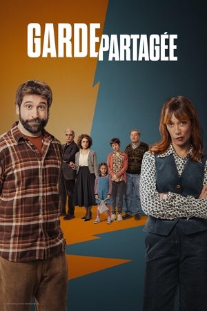 Közös felügyelet poszter