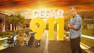 Tárcsázza Cesar Millant! kép