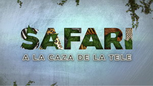 Safari: A la caza de la tele kép