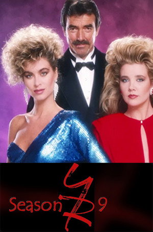The Young and the Restless 9. évad (1981-09-01) poszter