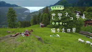 岩合光昭の世界ネコ歩き 1. évad Ep.63 63. epizód